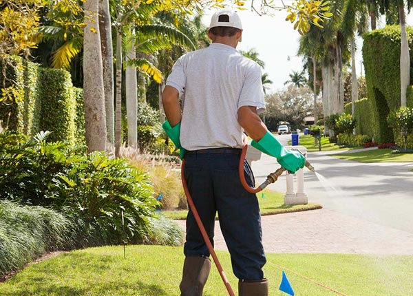 About Hot Springs Village AR Pest Control Pros